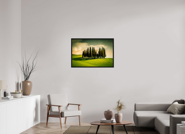 Cypress' in the Dawn