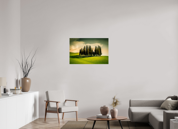 Cypress' in the Dawn
