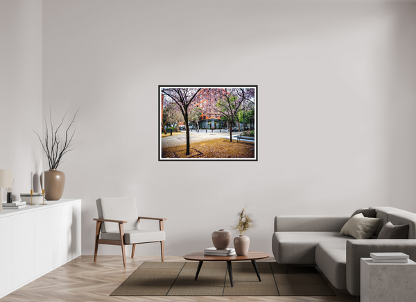 Vibrant scene of trees in San Francisco, showcasing "Blossoms Between the Blocks - Large Print" for any decor.