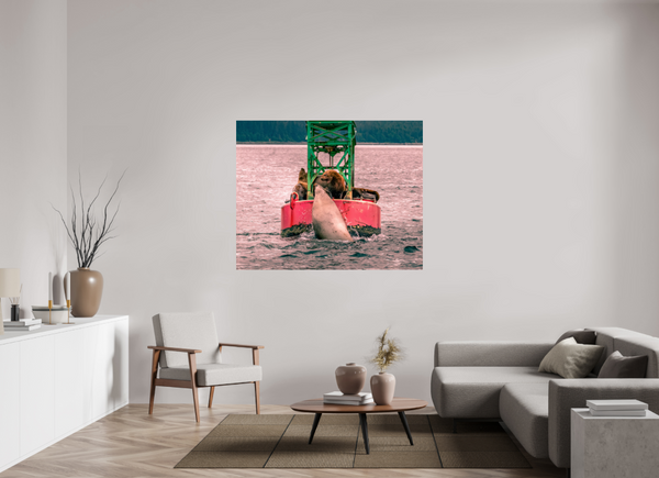 My Buoy