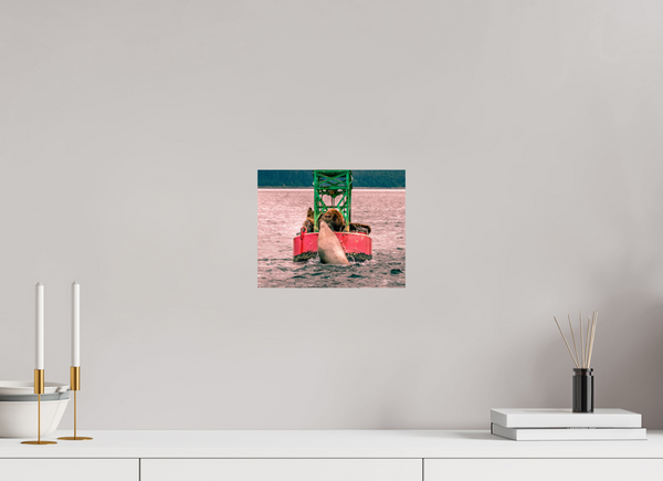 My Buoy