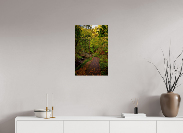 Bridge through the Forest