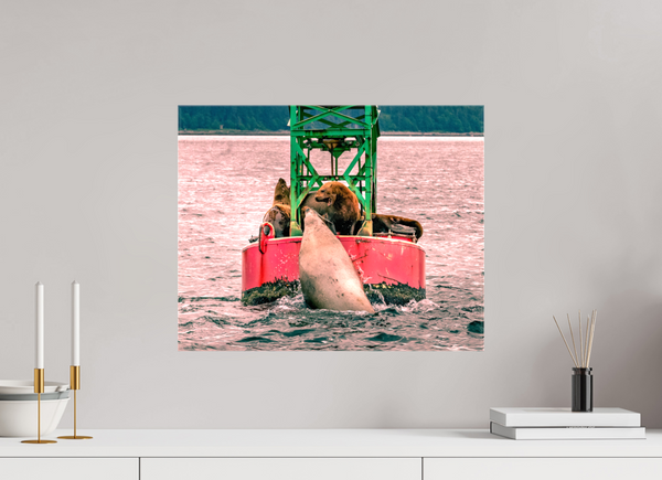 My Buoy