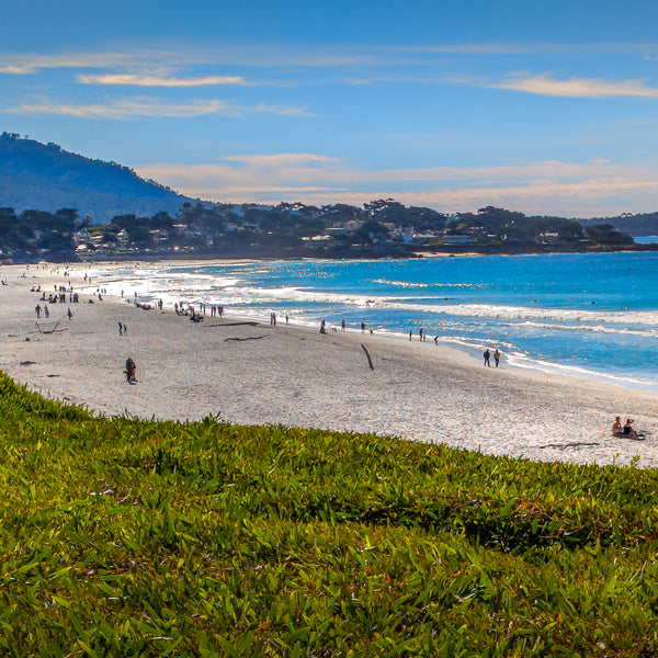 Carmel Beach - Panorama