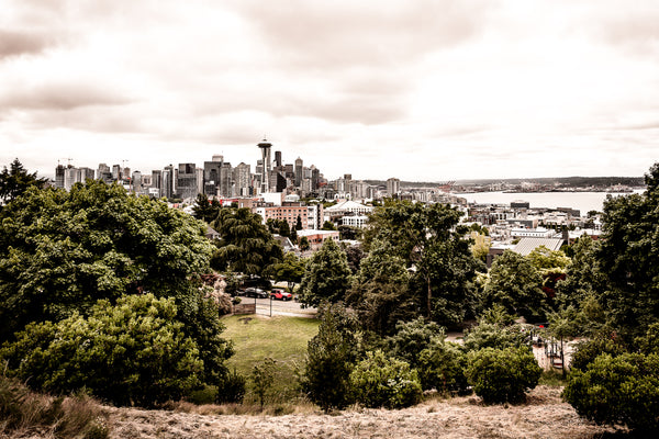 Seattle Skyline