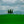 Cypress Peace in Tuscany