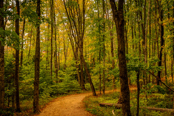 Path to Least Resistance