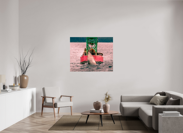 My Buoy
