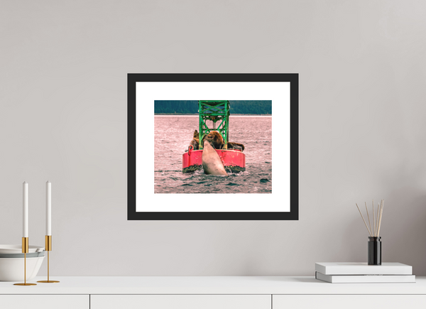 My Buoy