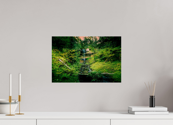 Falling through the Forest