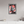 Charles LeClerc, on the Pole 2022