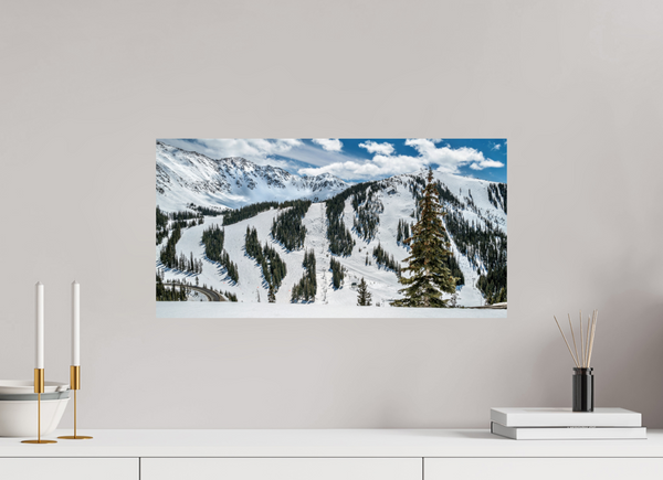 Face of A-Basin