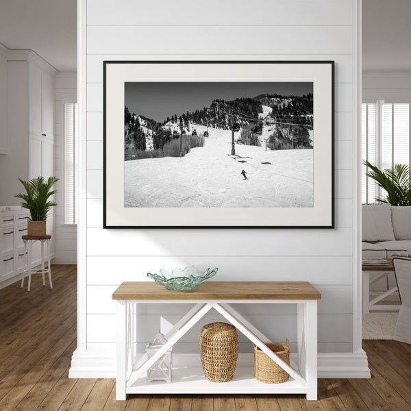 Aspen in Black and White