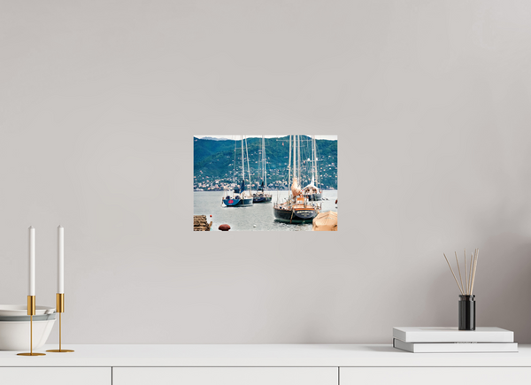 Portofino Harbor