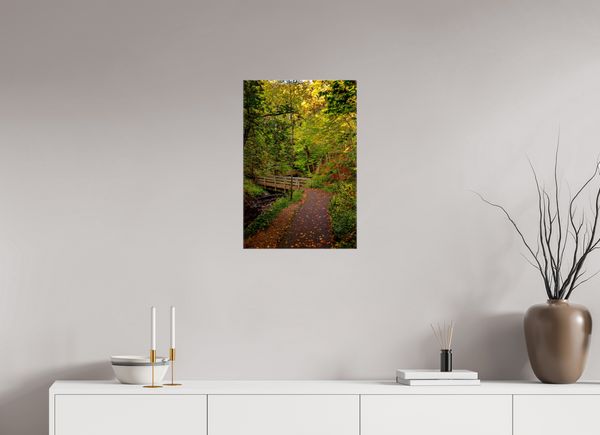 Bridge through the Forest