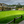 Practice Green at Pebble - Large Print