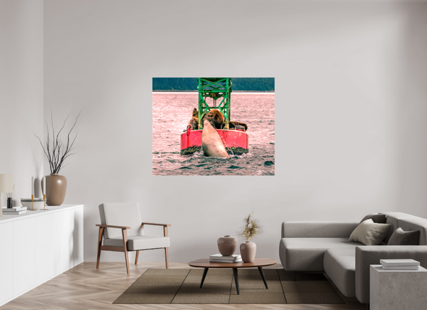 My Buoy