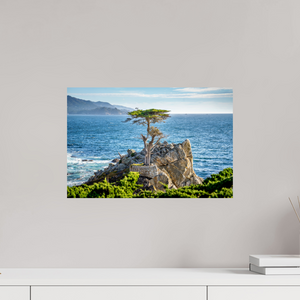 The Lone Cypress stands resilient against the ocean backdrop, symbolizing strength and determination in nature.
