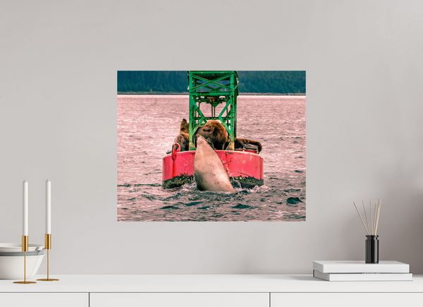 My Buoy