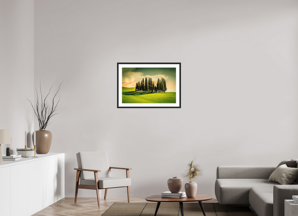 Cypress' in the Dawn