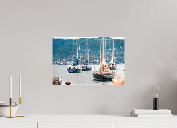 Portofino Harbor