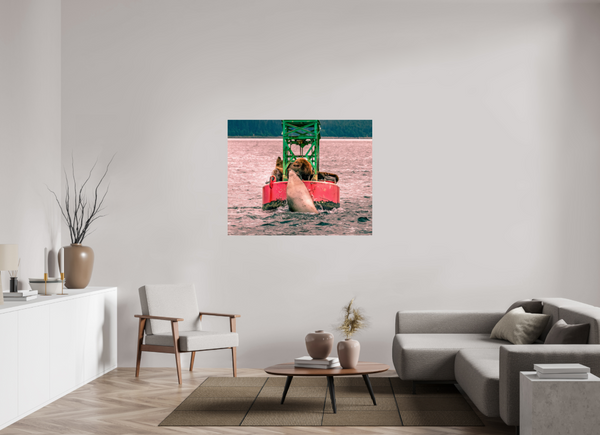 My Buoy