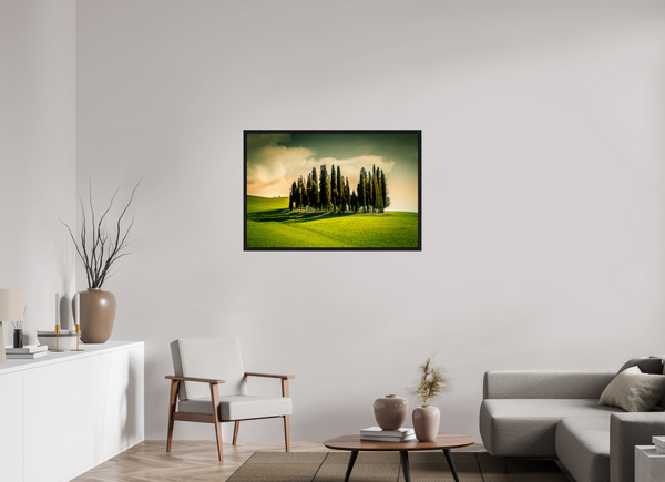 Cypress' in the Dawn