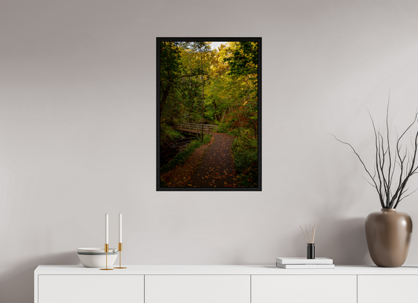 Bridge through the Forest