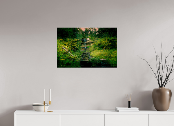 Falling through the Forest