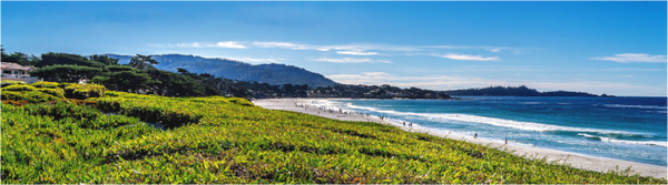 Carmel Beach - Panorama