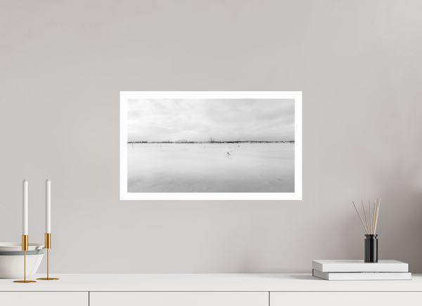 Swans on a Frozen River