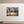 Vibrant trees in San Francisco showcased in 
