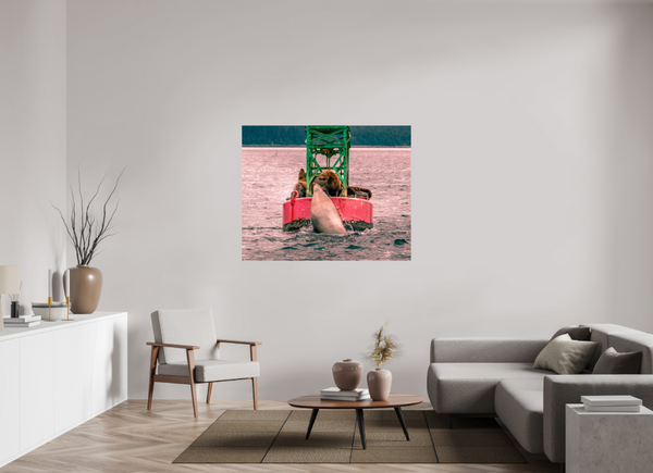 My Buoy