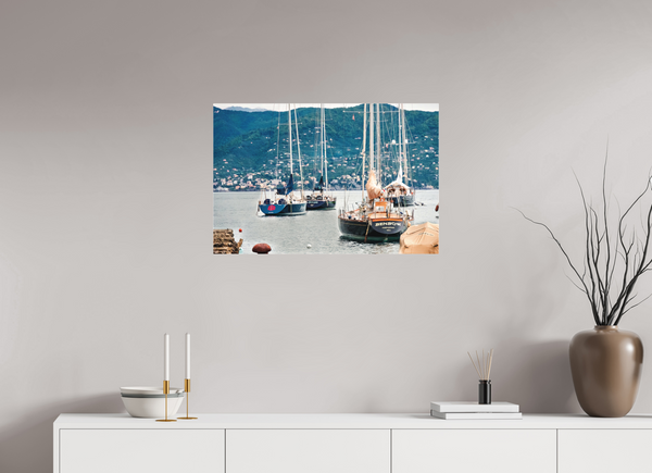 Portofino Harbor