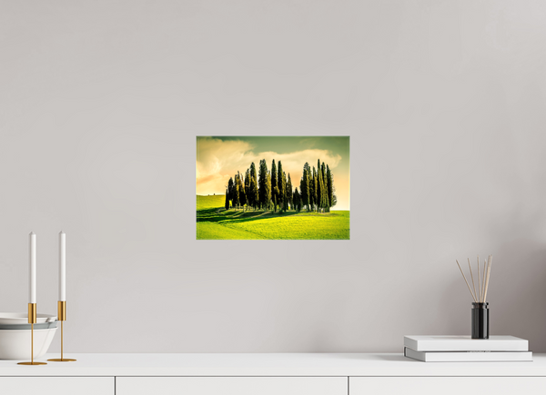 Cypress' in the Dawn