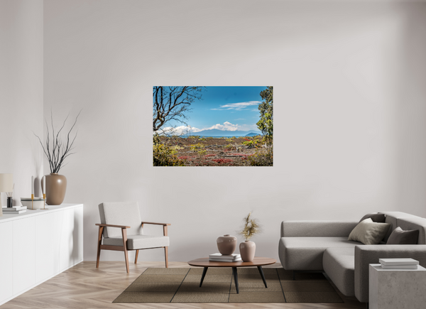 A Volcanic Landscape