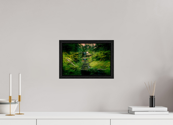 Falling through the Forest