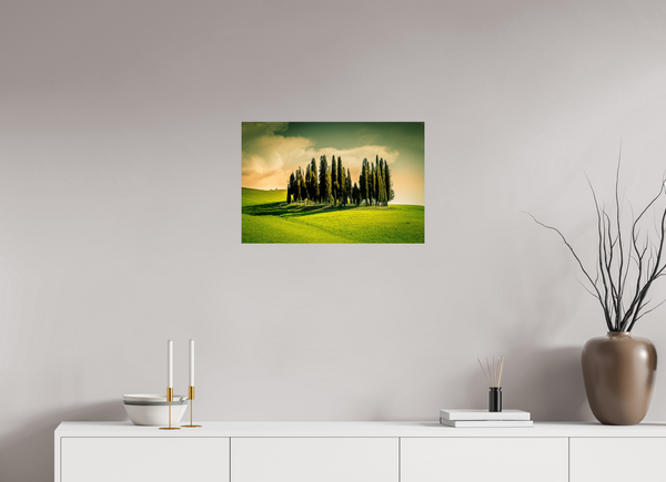 Cypress' in the Dawn