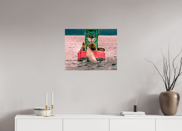 My Buoy