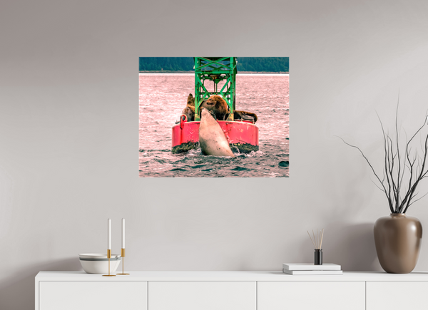 My Buoy