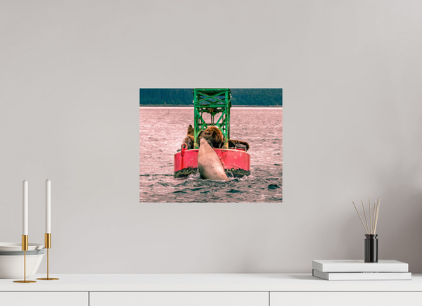 My Buoy