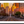 Sunset in San Francisco