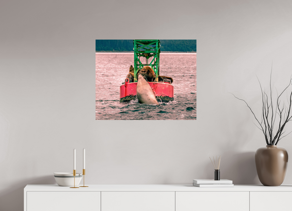 My Buoy