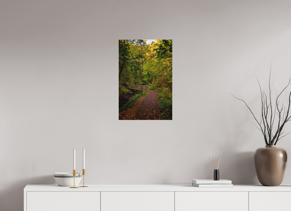 Bridge through the Forest
