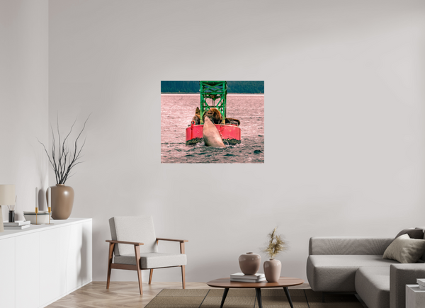 My Buoy