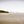 San Francisco from Tiburon - Large Print